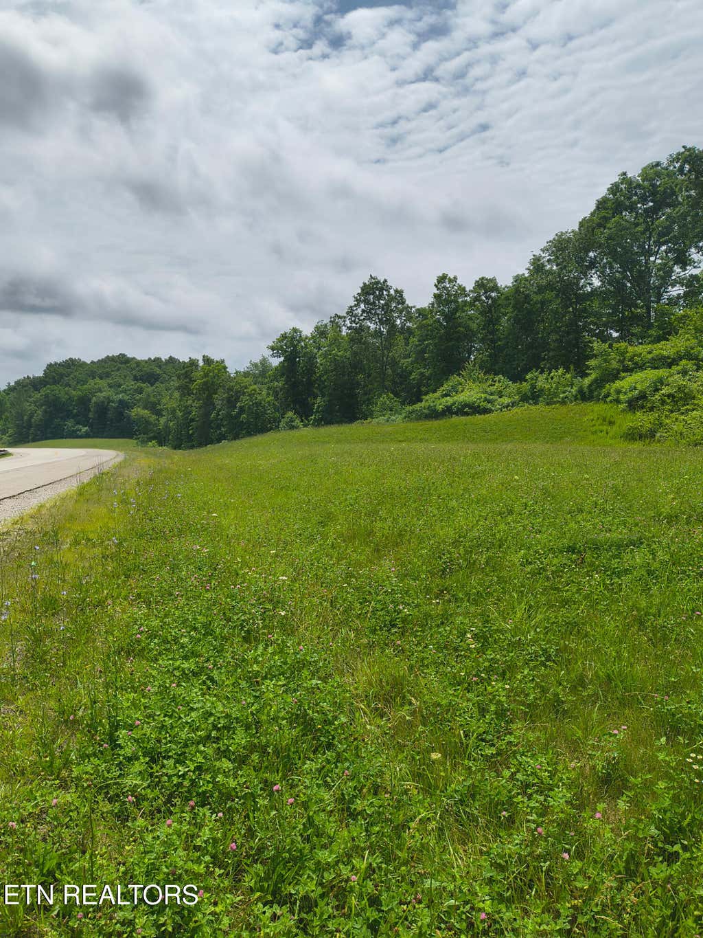 Photo of Rugby Highway 52 RD, Robbins, TN 37852 (MLS # 1344401)