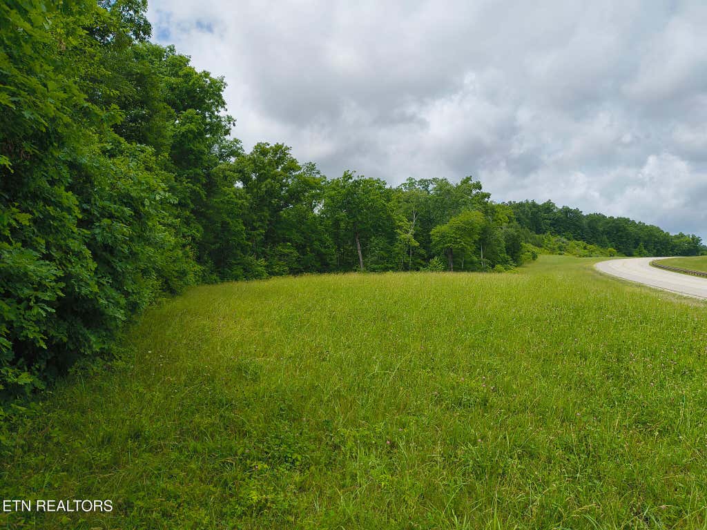 Photo of Rugby Highway 52 RD, Robbins, TN 37852 (MLS # 1344401)