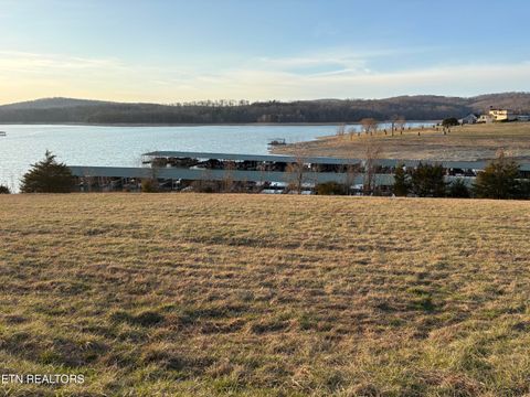 Tiny photo for 372 Russell Brothers Rd, Sharps Chapel, TN 37866 (MLS # 1331779)