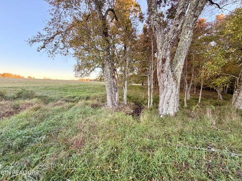 Tiny photo for Poke Patch Rd, Crossville, TN 38572 (MLS # 1359986)