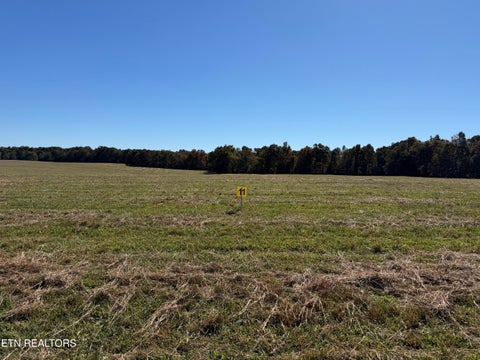 Tiny photo for Poke Patch Rd, Crossville, TN 38572 (MLS # 1359986)