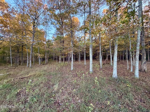 Tiny photo for Poke Patch Rd, Crossville, TN 38572 (MLS # 1359986)