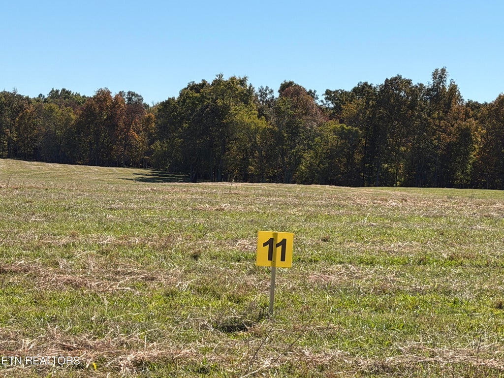 Photo of Poke Patch Rd, Crossville, TN 38572 (MLS # 1359986)