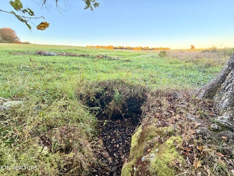 Tiny photo for Poke Patch Rd, Crossville, TN 38572 (MLS # 1359986)