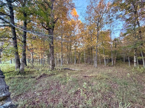 Tiny photo for Poke Patch Rd, Crossville, TN 38572 (MLS # 1359986)