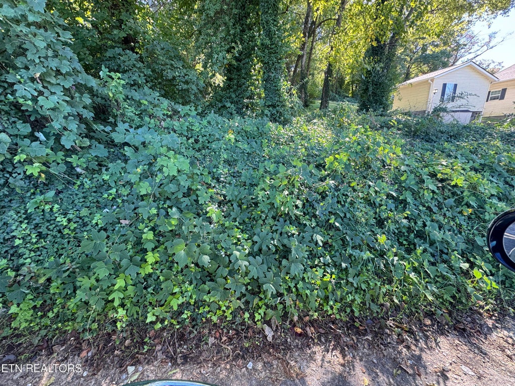 Photo of 0 Massachusetts Ave #0, Knoxville, TN 37921 (MLS # 1359425)