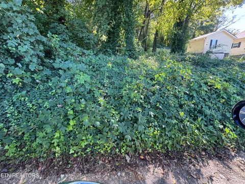 Tiny photo for 0 Massachusetts Ave #0, Knoxville, TN 37921 (MLS # 1359425)