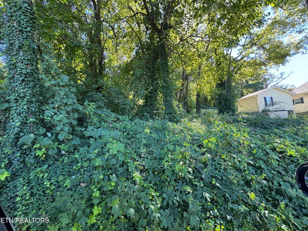Photo of 0 Massachusetts Ave #0, Knoxville, TN 37921 (MLS # 1359425)