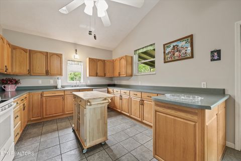 Tiny photo for 1500 Liberty Hill Drive, Washburn, TN 37888 (MLS # 1338809)