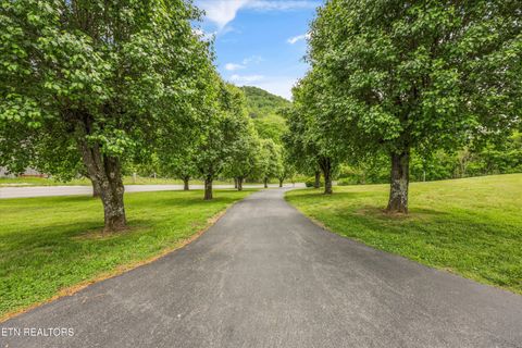 Tiny photo for 1500 Liberty Hill Drive, Washburn, TN 37888 (MLS # 1338809)