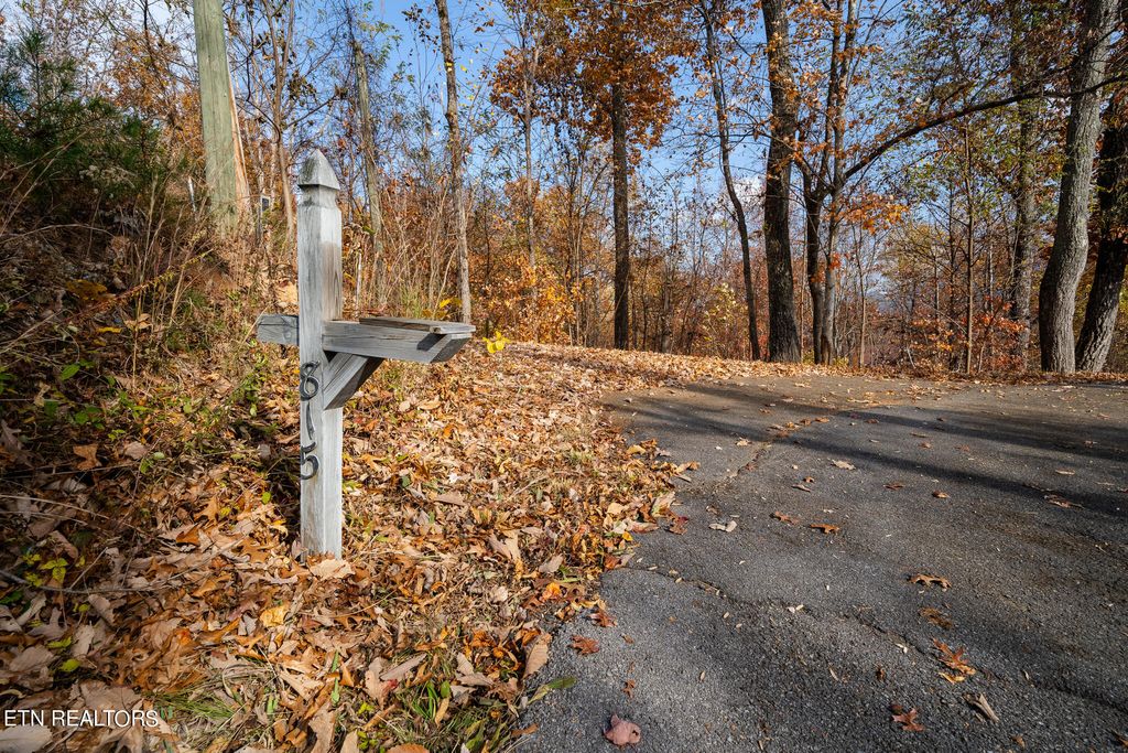 Photo of 815 Red Fox Tr, Gatlinburg, TN 37738 (MLS # 1245830)