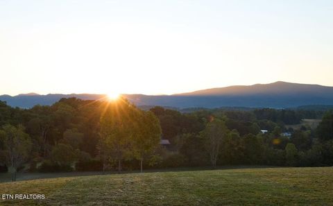 Tiny photo for Lot 13 Moody Moon Ridge Way, Newport, TN 37821 (MLS # 1332011)