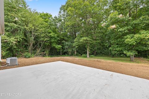 Tiny photo for 181 Pomona Court, Crossville, TN 38571 (MLS # 1328075)