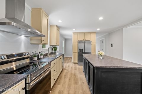 Tiny photo for 181 Pomona Court, Crossville, TN 38571 (MLS # 1328075)