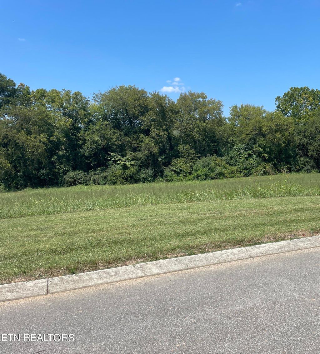 Photo of 130 Old Hickory Circle, Madisonville, TN 37354 (MLS # 1274465)