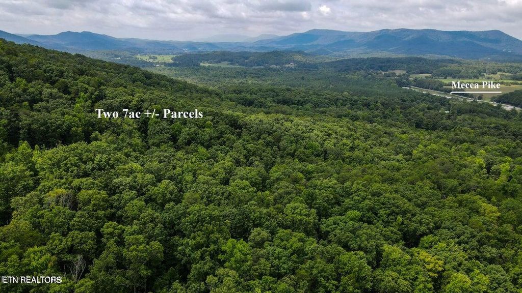 Photo of 2 Mecca Pike, Tellico Plains, TN 37385 (MLS # 1318617)