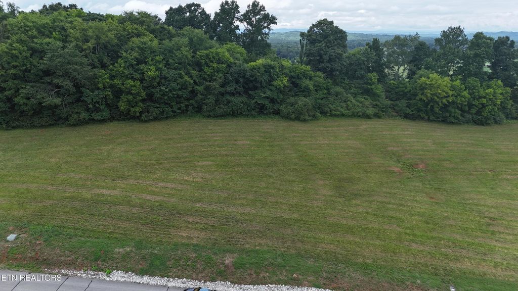 Photo of The Gates Drive, Decatur, TN 37322 (MLS # 1348152)