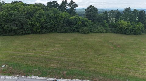 Photo of The Gates Drive, Decatur, TN 37322 (MLS # 1348152)