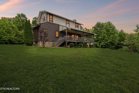Photo of 161 Willie Shell Rd, Reliance, TN 37369 (MLS # 1341201)