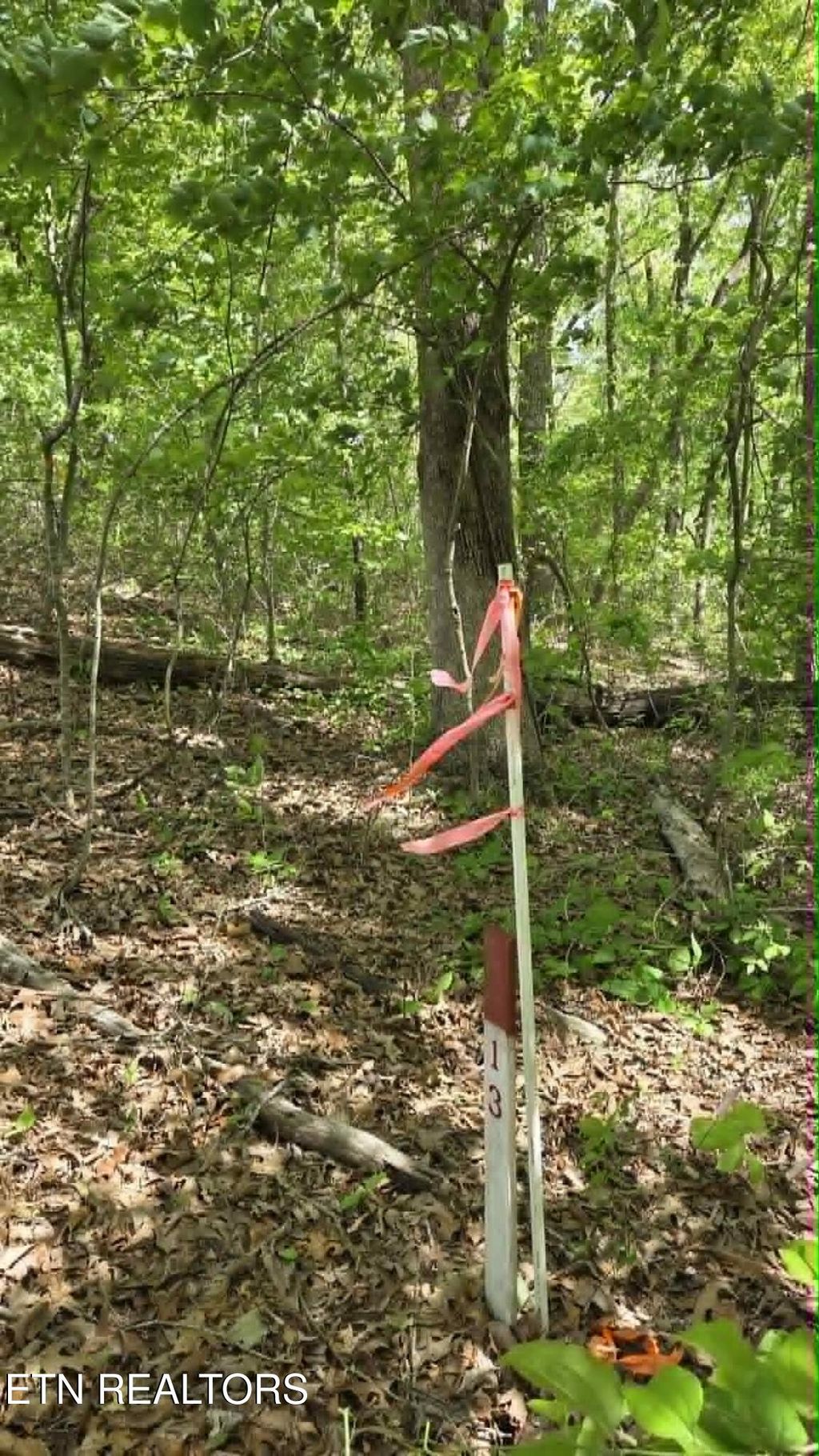 Photo of 10 Keating Loop, Crossville, TN 38555 (MLS # 1340201)
