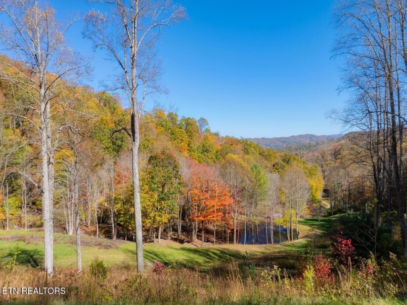 193 Smith Branch Rd