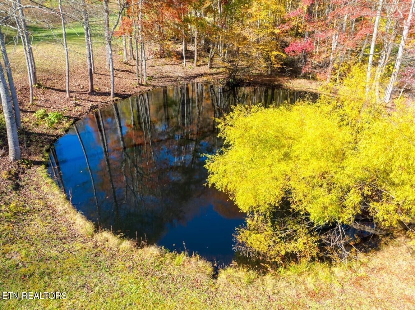 193 Smith Branch Rd