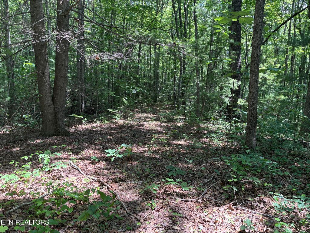 Photo of Rob Watson Rd, Oneida, TN 37841 (MLS # 1306093)