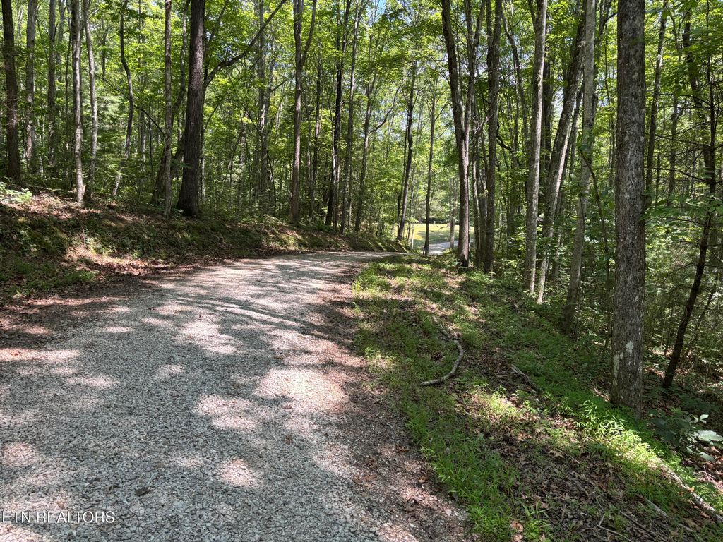 Photo of Rob Watson Rd, Oneida, TN 37841 (MLS # 1306093)