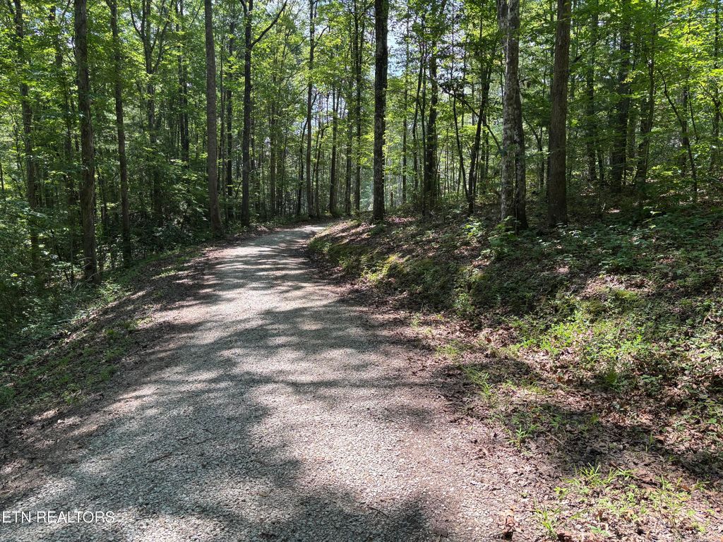 Photo of Rob Watson Rd, Oneida, TN 37841 (MLS # 1306093)