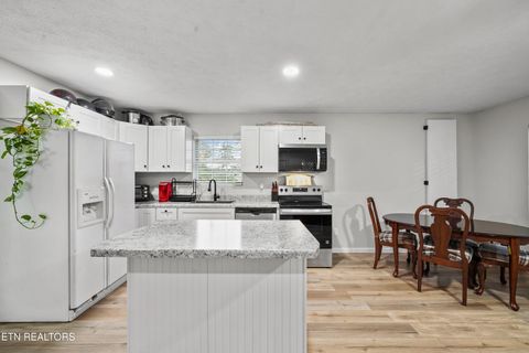 Tiny photo for 1705 Lester Rd, Tazewell, TN 37879 (MLS # 1326373)