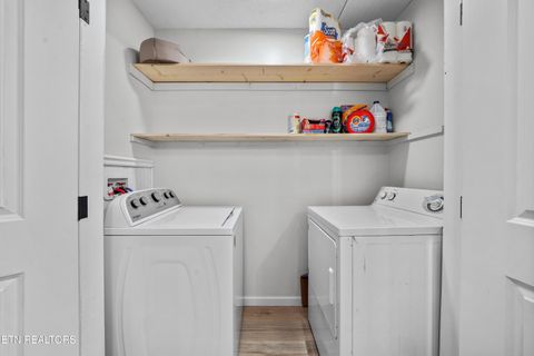 Tiny photo for 1705 Lester Rd, Tazewell, TN 37879 (MLS # 1326373)