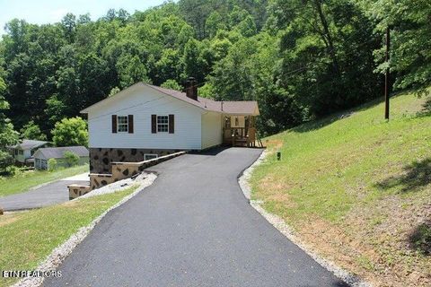 Tiny photo for 2915 Flat Hollow Rd, Speedwell, TN 37870 (MLS # 1318452)