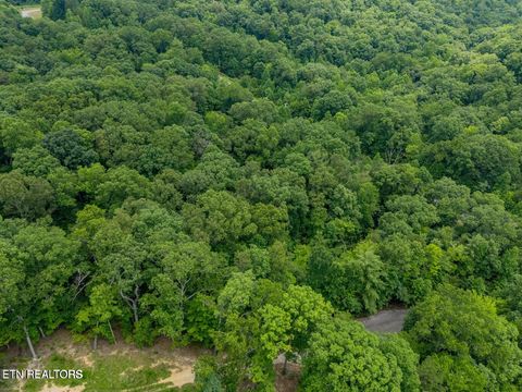 Tiny photo for Crystal Springs Rd, Rockwood, TN 37854 (MLS # 1348591)
