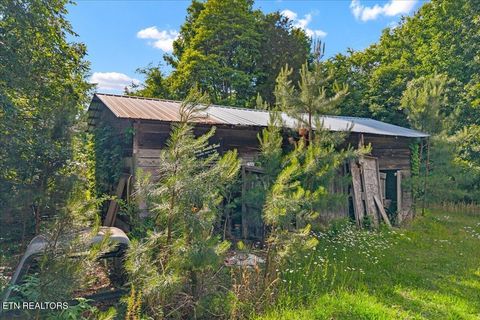 Tiny photo for 16271629 Wasson Rd, Ten Mile, TN 37880 (MLS # 1340675)
