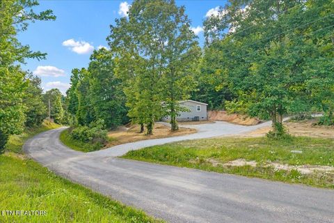 Tiny photo for 16271629 Wasson Rd, Ten Mile, TN 37880 (MLS # 1340675)
