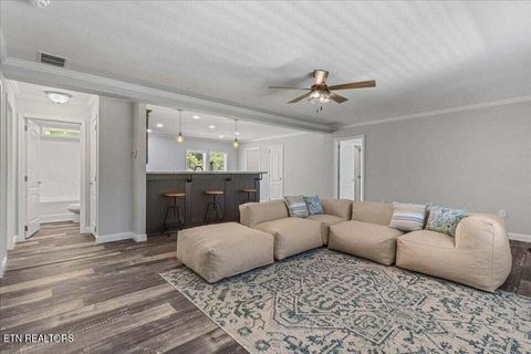 Tiny photo for 16271629 Wasson Rd, Ten Mile, TN 37880 (MLS # 1340675)
