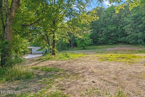 Tiny photo for 16271629 Wasson Rd, Ten Mile, TN 37880 (MLS # 1340675)