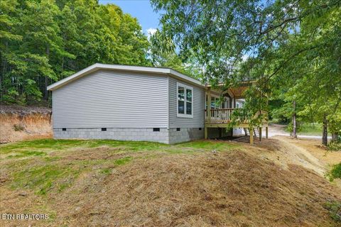Tiny photo for 16271629 Wasson Rd, Ten Mile, TN 37880 (MLS # 1340675)