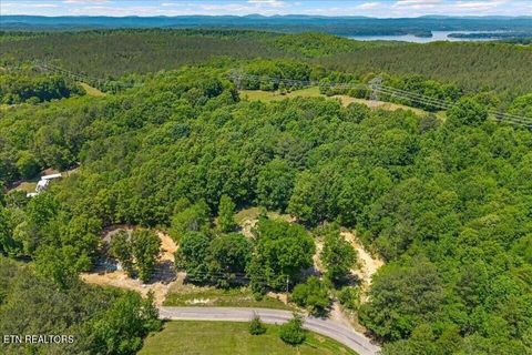 Tiny photo for 16271629 Wasson Rd, Ten Mile, TN 37880 (MLS # 1340675)