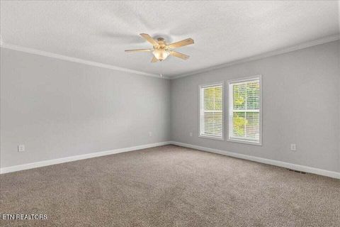 Tiny photo for 16271629 Wasson Rd, Ten Mile, TN 37880 (MLS # 1340675)