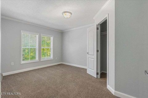 Tiny photo for 16271629 Wasson Rd, Ten Mile, TN 37880 (MLS # 1340675)