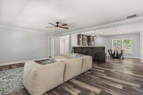 Tiny photo for 16271629 Wasson Rd, Ten Mile, TN 37880 (MLS # 1340675)