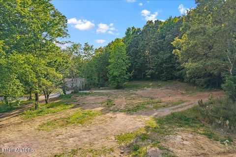 Tiny photo for 16271629 Wasson Rd, Ten Mile, TN 37880 (MLS # 1340675)