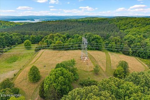 Tiny photo for 16271629 Wasson Rd, Ten Mile, TN 37880 (MLS # 1340675)