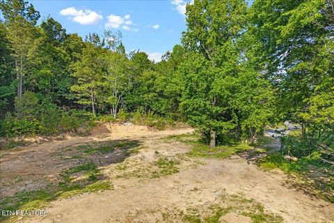 Tiny photo for 16271629 Wasson Rd, Ten Mile, TN 37880 (MLS # 1340675)