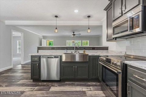 Tiny photo for 16271629 Wasson Rd, Ten Mile, TN 37880 (MLS # 1340675)