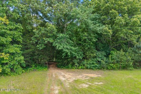 Tiny photo for 16271629 Wasson Rd, Ten Mile, TN 37880 (MLS # 1340675)