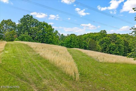 Tiny photo for 16271629 Wasson Rd, Ten Mile, TN 37880 (MLS # 1340675)
