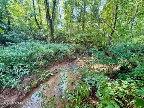 Tiny photo for 702 Hamid Place, Knoxville, TN 37920 (MLS # 1330215)