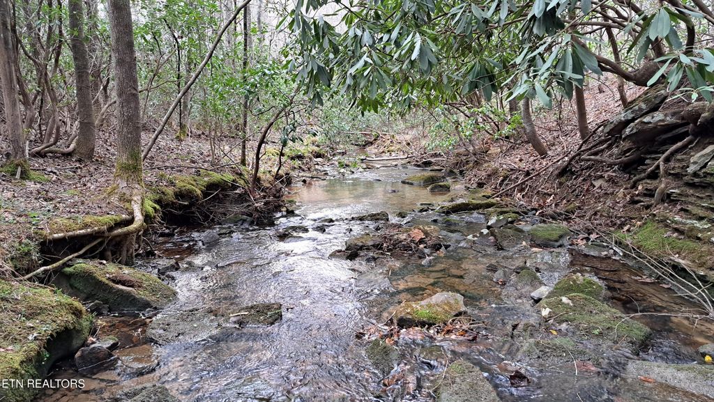 Photo of Airport Rd - Lot 16 (PCA), Rockwood, TN 37854 (MLS # 1299456)